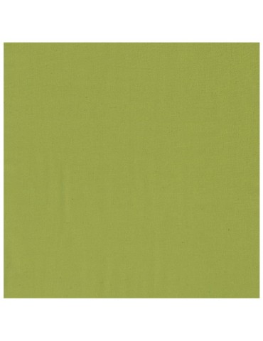 Serviette de table Unis kiwi 50 X 50 6547022000Winkler