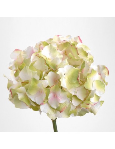 Fleur artificielle d'hortensia blanche/rose H.47cm NATURE DFL3208326Amadeus