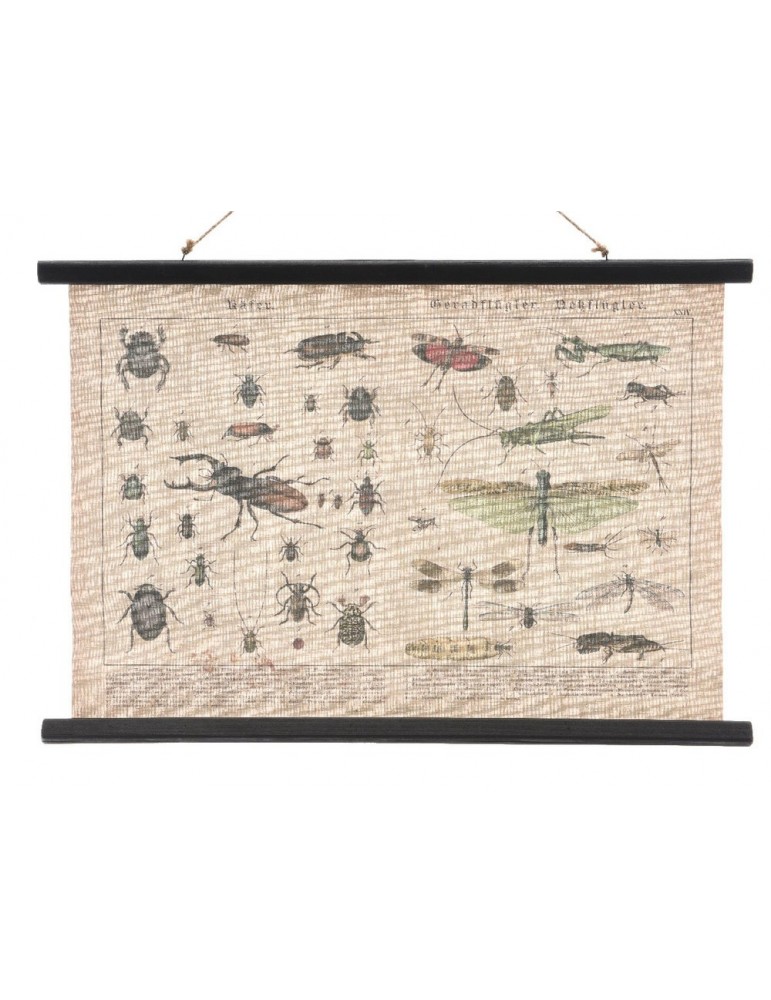 Tableau en toile vintage insecte MARCEL DMR3889046Decoris