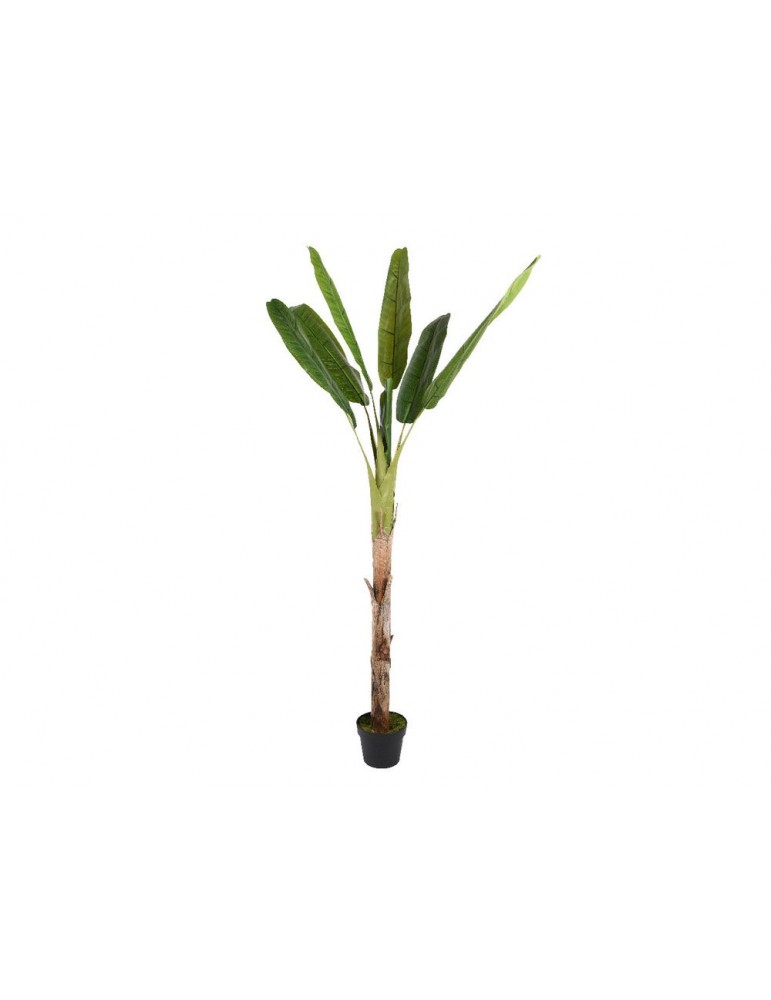 Plante artificielle bananier avec pot noir PLANTS DAA3889005