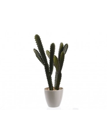 Plante artificielle cactus en pot noir et vert PLANTS DAA3889053
