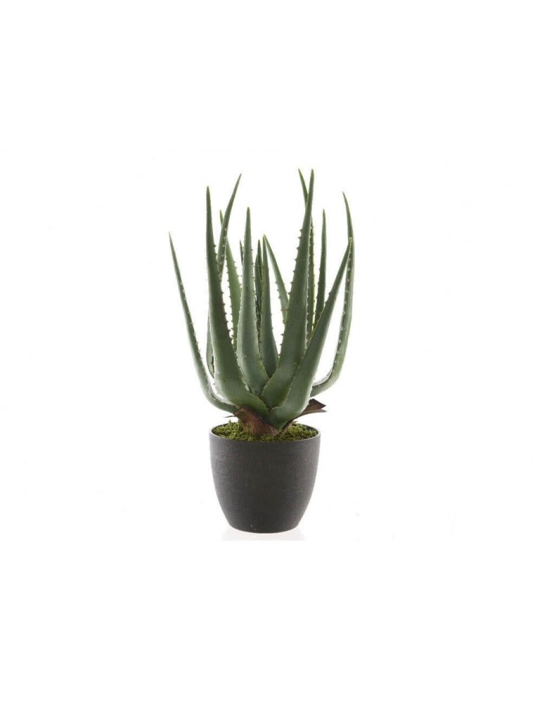 Aloe vera artificiel en pot JAHZA DAA3491132 Aloe vera artificiel en pot JAHZA DAA3491132