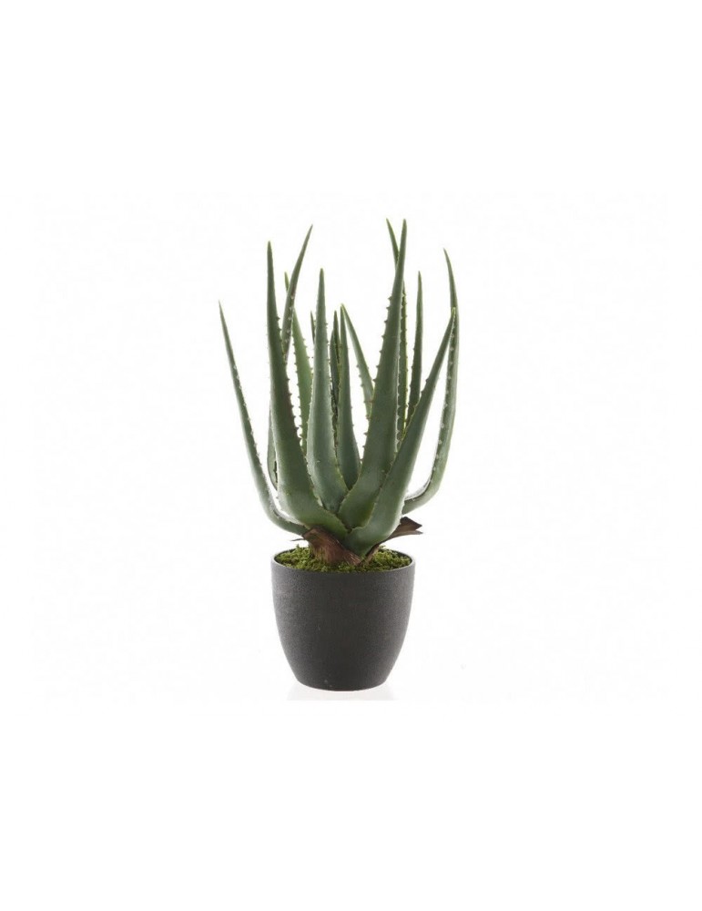 Aloe vera artificiel en pot JAHZA DAA3491133Decoris