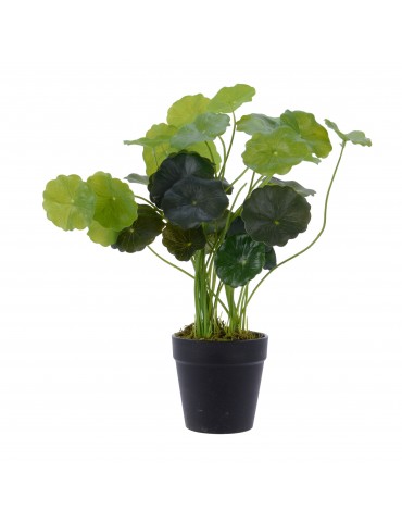 Plante artificielle centella asiatica en pot DAA4063275