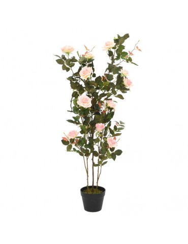 Rosier en pot 16 fleurs DAA4248003Decoris