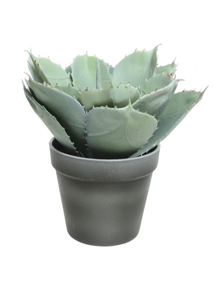 Plante grasse artificielle en pot DAA4248005Decoris Plante grasse artificielle en pot DAA4248005Decoris