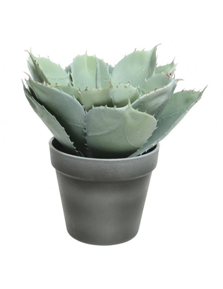 Plante grasse artificielle en pot DAA4248005Decoris