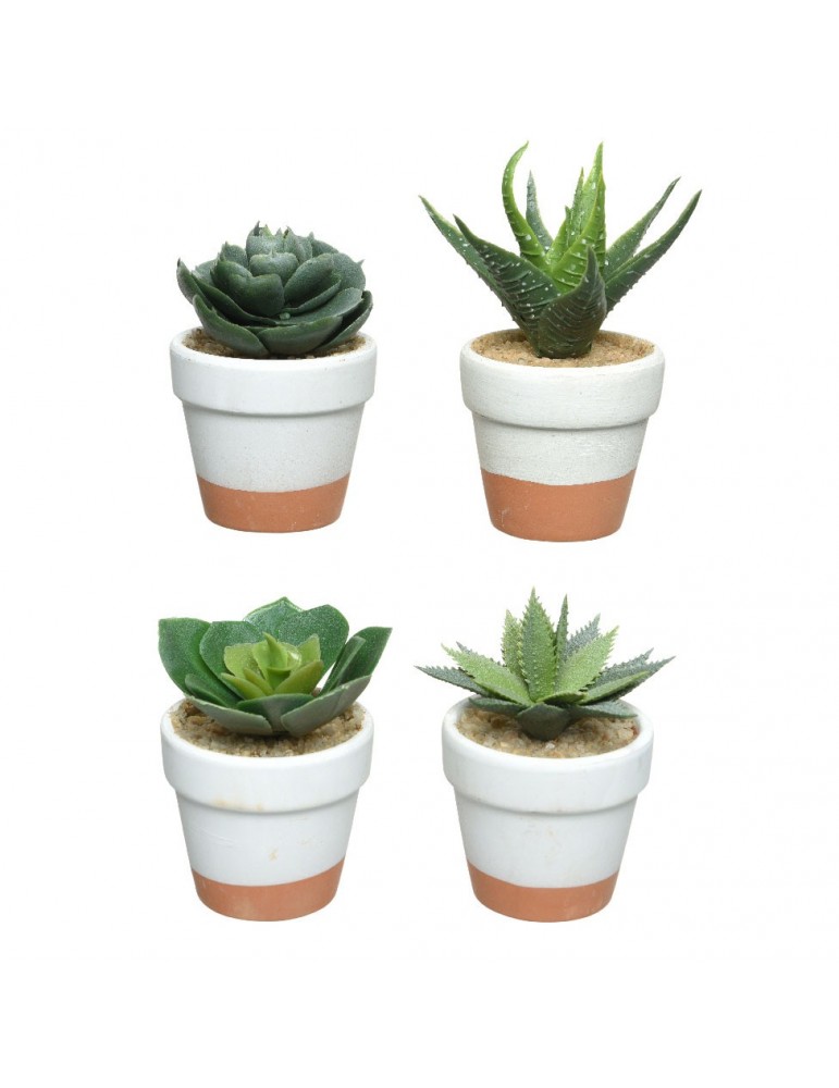 Plante grasse artificielle en pot terracotta - Set de 4 DAA4248011Decoris