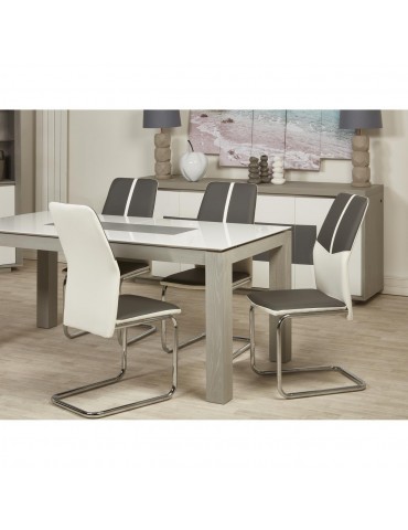 Lot de 4 chaises hydra gris et blanc 50311GB