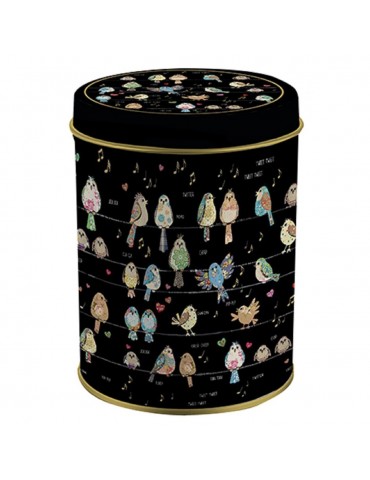 Boite métal oiseaux jewel BMRP03C02Kiub