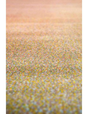 Tapis Caro Multicolore 200 x 290 1889090000Vivaraise