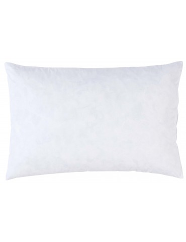 Interieur de coussin Plumes Blanc 60 x 40 3000680000La Cerise sur le Gâteau