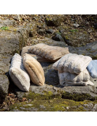 Coussin Astrid Grège 40 x 65 1252017000Vivaraise