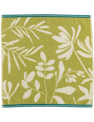 Essuie-mains Otis Vert 50 x 50 1250020000Winkler