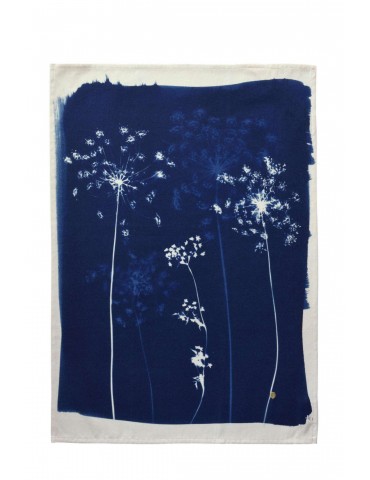 Torchon Fleurs de carotte Bleu 70 x 50 3000880000La Cerise sur le Gâteau