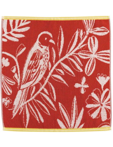 Essuie-mains Flavi Rouge 50 x 50 1250030000Winkler
