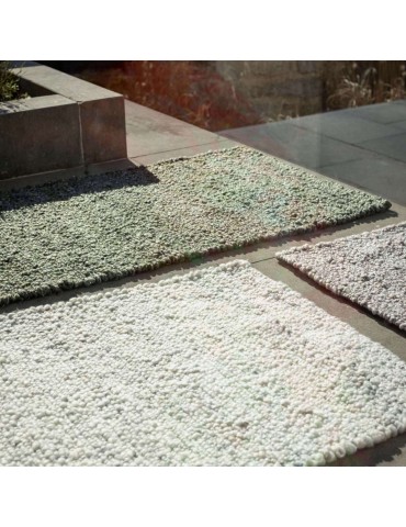 Tapis Alma Naturel 70 x 140 x 1 1286080000Vivaraise