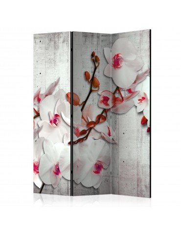 Paravent 3 volets - Concrete Orchid [Room Dividers] A1-PARAVENT587