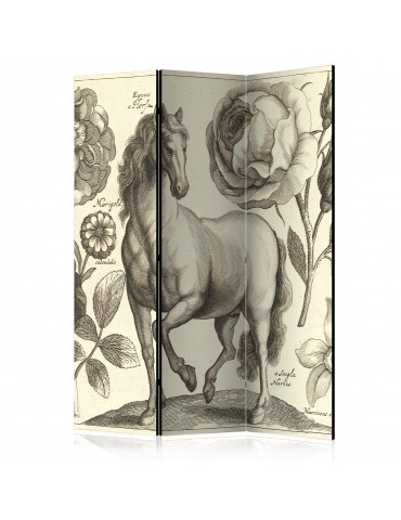 Paravent 3 volets - Horse [Room Dividers] A1-PARAVENT750