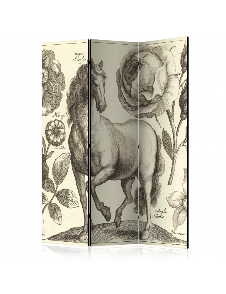 Paravent 3 volets - Horse [Room Dividers] A1-PARAVENT750