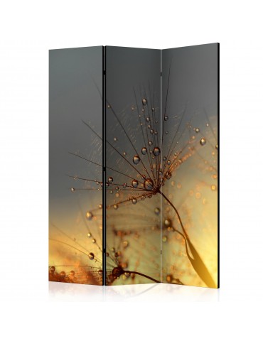 Paravent 3 volets - Summer Solstice [Room Dividers] A1-PARAVENT846