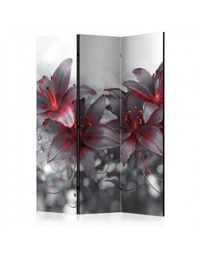 Paravent 3 volets - Shadow of Passion [Room Dividers] A1-PARAVENT186