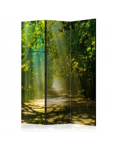 Paravent 3 volets - Road in Sunlight [Room Dividers] A1-PARAVENT192