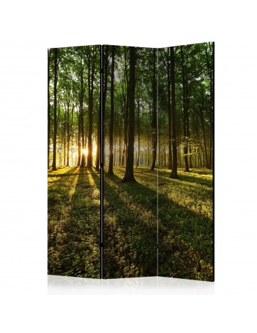 Paravent 3 volets - Morning in the Forest [Room Dividers] A1-PARAVENT200