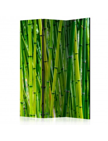 Paravent 3 volets - Bamboo Forest [Room Dividers] A1-PARAVENT993