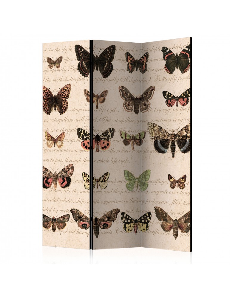 Paravent 3 volets - Retro Style: Butterflies [Room Dividers] A1-PARAVENT1029