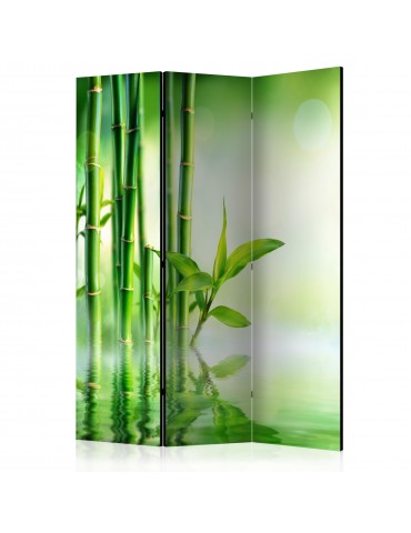 Paravent 3 volets - Green Bamboo [Room Dividers] A1-PARAVENT943