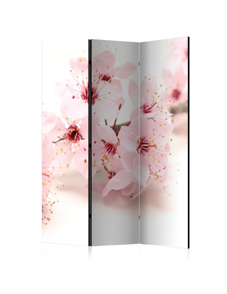 Paravent 3 volets - Cherry Blossom [Room Dividers] A1-PARAVENT947