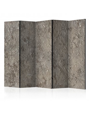 Paravent 5 volets - Silver Serenade II [Room Dividers] A1-PARAVENT739