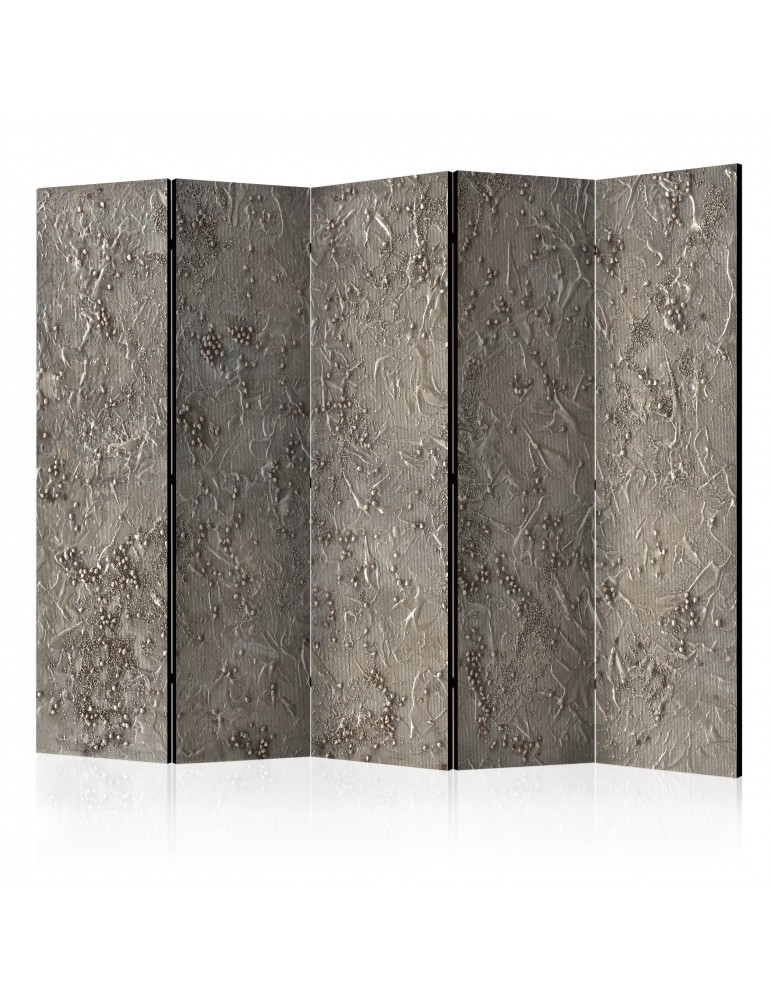 Paravent 5 volets - Silver Serenade II [Room Dividers] A1-PARAVENT739