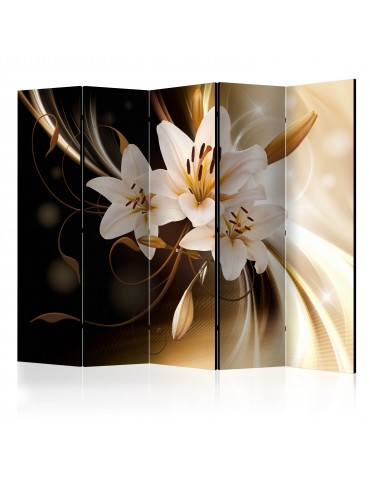 Paravent 5 volets - Circle of Light II [Room Dividers] A1-PARAVENT177