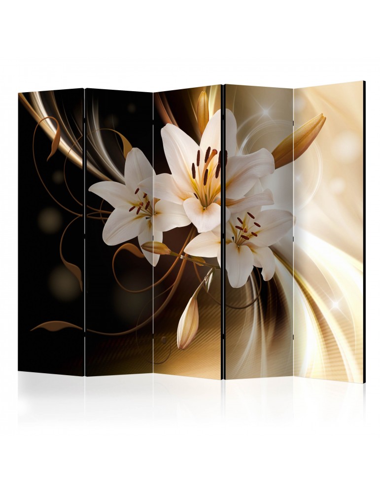 Paravent 5 volets - Circle of Light II [Room Dividers] A1-PARAVENT177