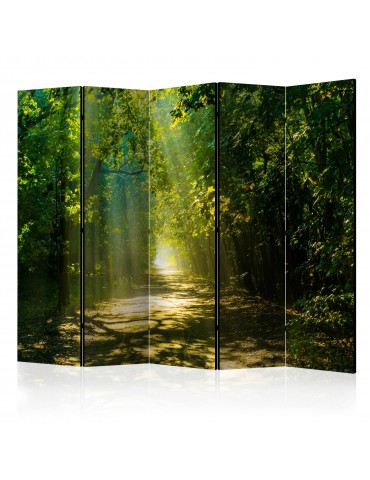 Paravent 5 volets - Road in Sunlight II [Room Dividers] A1-PARAVENT193