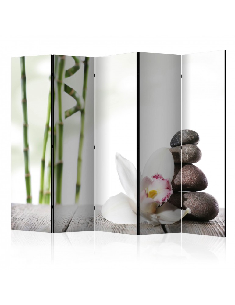 Paravent 5 volets - Harmony II [Room Dividers] A1-PARAVENT988