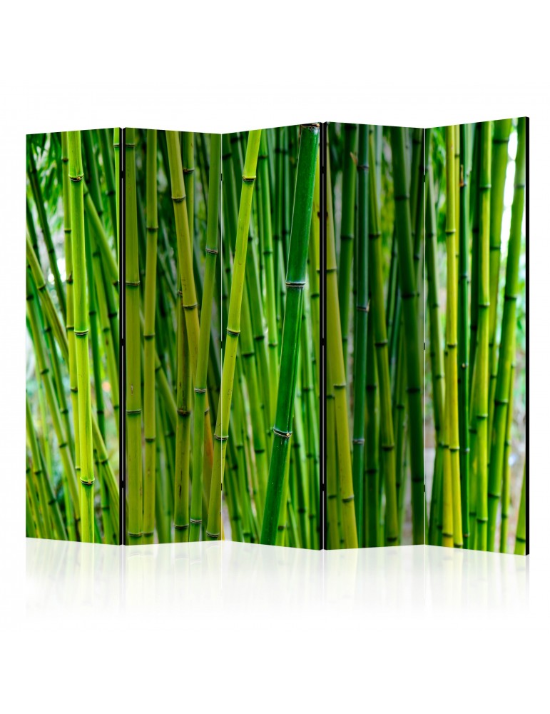 Paravent 5 volets - Bamboo Forest II [Room Dividers] A1-PARAVENT994