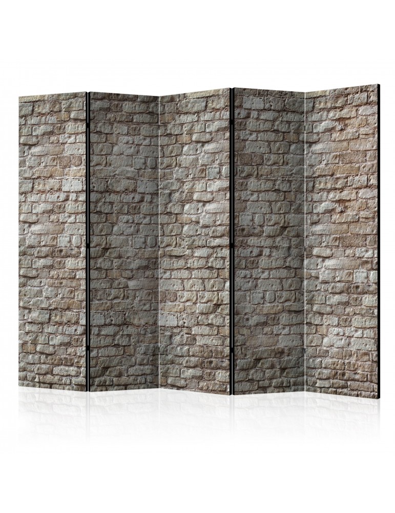 Paravent 5 volets - Reality II [Room Dividers] A1-PARAVENT6