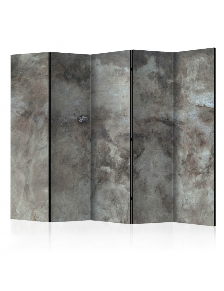 Paravent 5 volets - Hail Cloud II [Room Dividers] A1-PARAVENT2