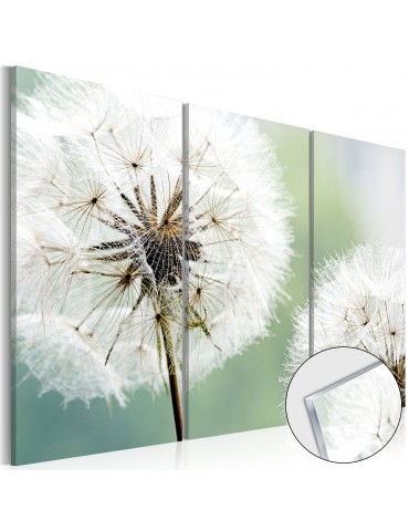 Tableau sur verre acrylique - Fluffy Dandelions [Glass] A1-Acrylglasbild20
