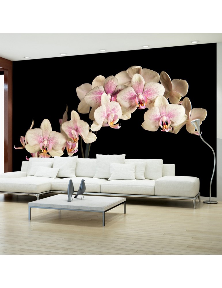 Papier peint - Orchidée en fleurs A1-F4TNT0459-P