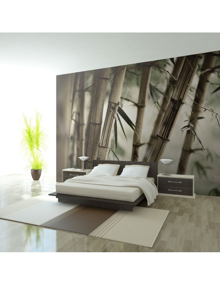 Papier peint - Fog and bamboo forest A1-F4TNT0447-P Papier peint - Fog and bamboo forest A1-F4TNT0447-P