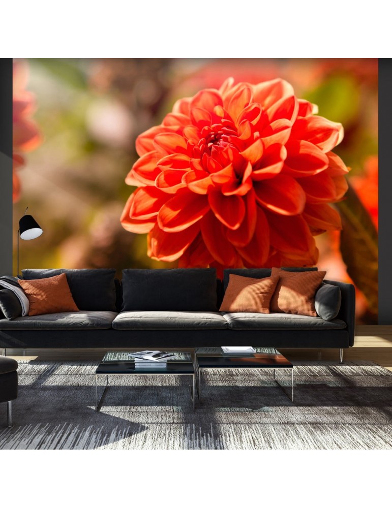 Papier peint - Dahlia dans le jardin A1-LFTNT1275 Papier peint - Dahlia dans le jardin A1-LFTNT1275