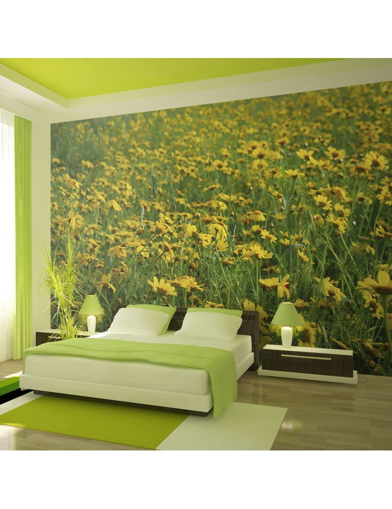 Papier peint - Champ de fleurs jaunes A1-LFTNT1401 Papier peint - Champ de fleurs jaunes A1-LFTNT1401