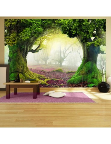 Papier peint - Enchanted forest A1-XXLNEW010370