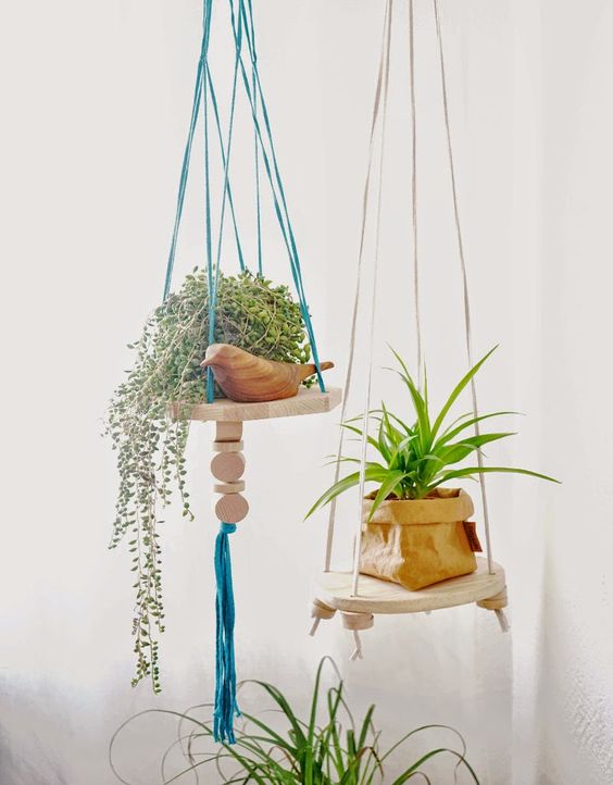 🪴 Comment arroser les plantes en suspension ? 🌿 Astuces plantes d' intérieur 