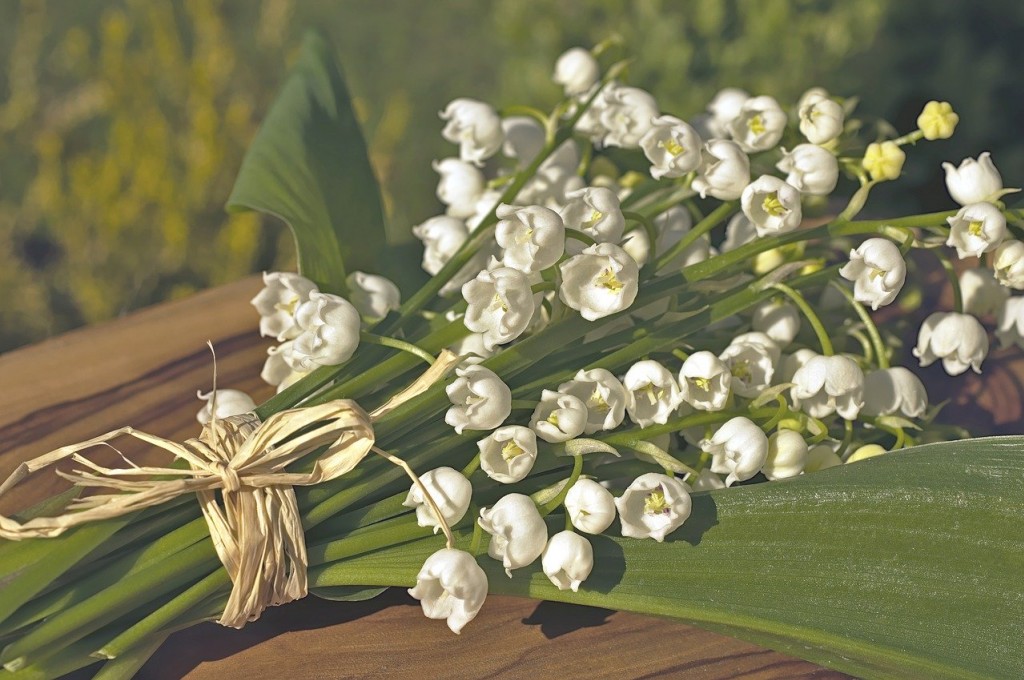 Comment créer du muguet de façon créative. Le Mag - Visiondeco
