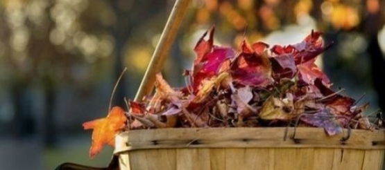 Préparer son jardin pour l'automne